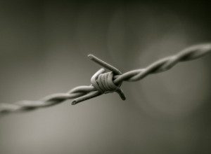 Il “doppio standard” dell’occidente sui diritti umani: Amnesty International denuncia anche l’Italia